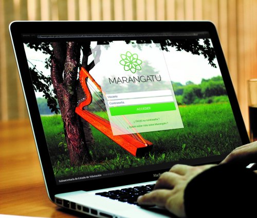 Qué hacer después de inscribirse en el RUC: pasos clave para formalizar tu negocio en Paraguay